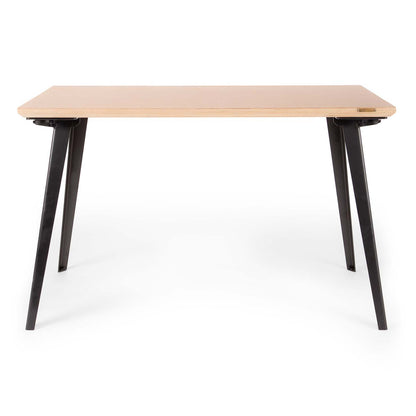 Takeshi Desk (4x2 feet) - White Oak