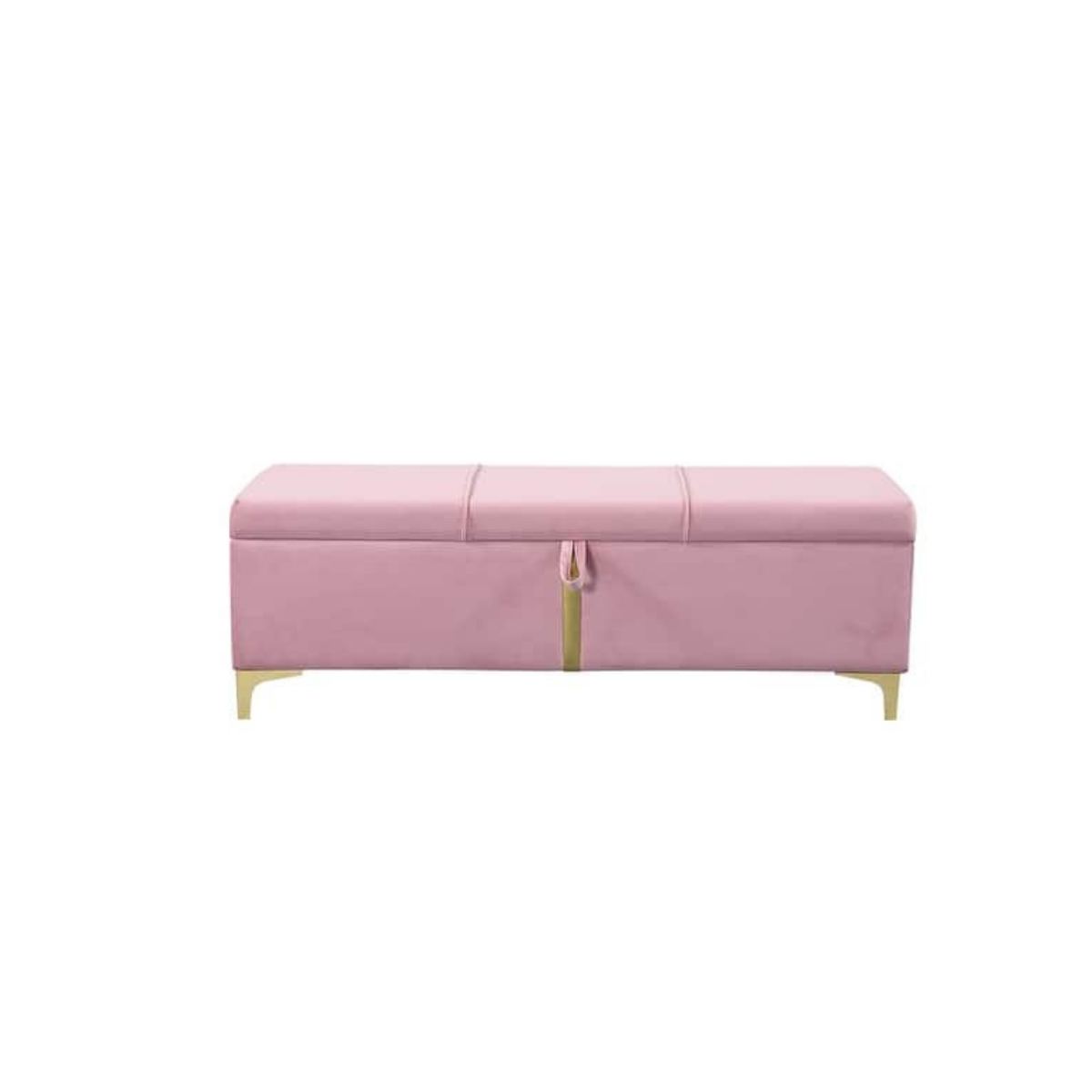 Elegant Upholstered Ottoman With Storage